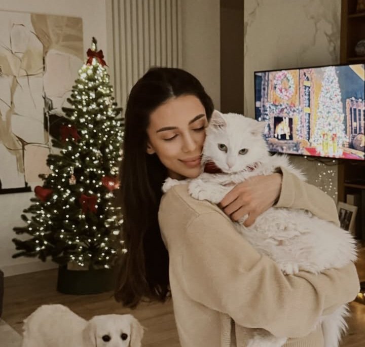 iq collection tweet media