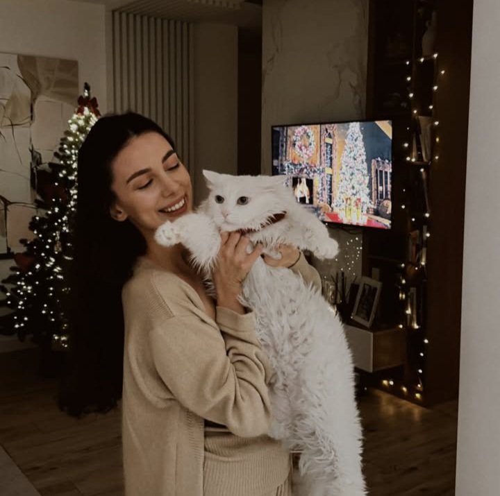 iq collection tweet media