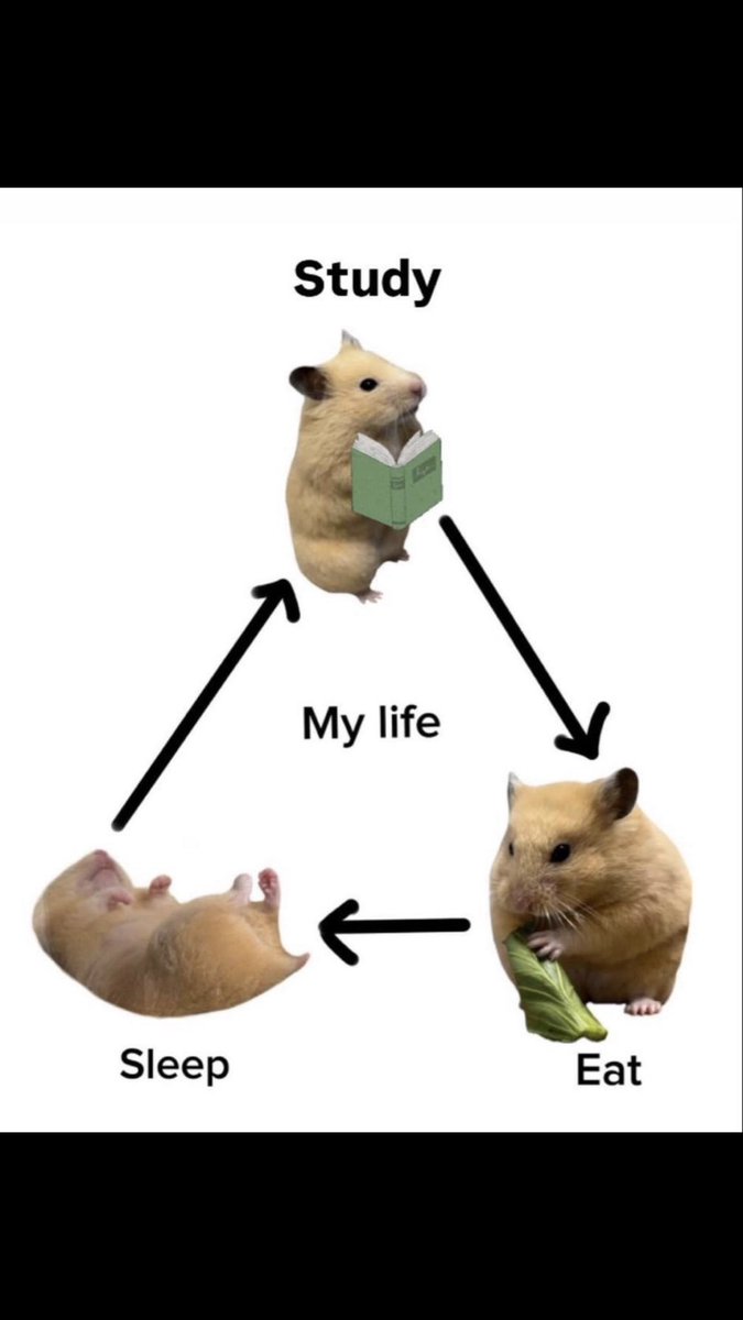 Ahlam__Kamel's tweet image. نفسي ارتاح انا لي شهر بمتحن من غير اجازاااات😫😫