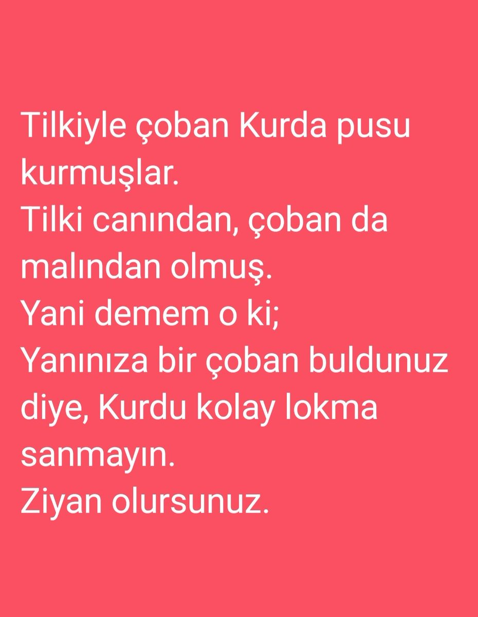 Metinozdl (@metinozdil02) on Twitter photo 