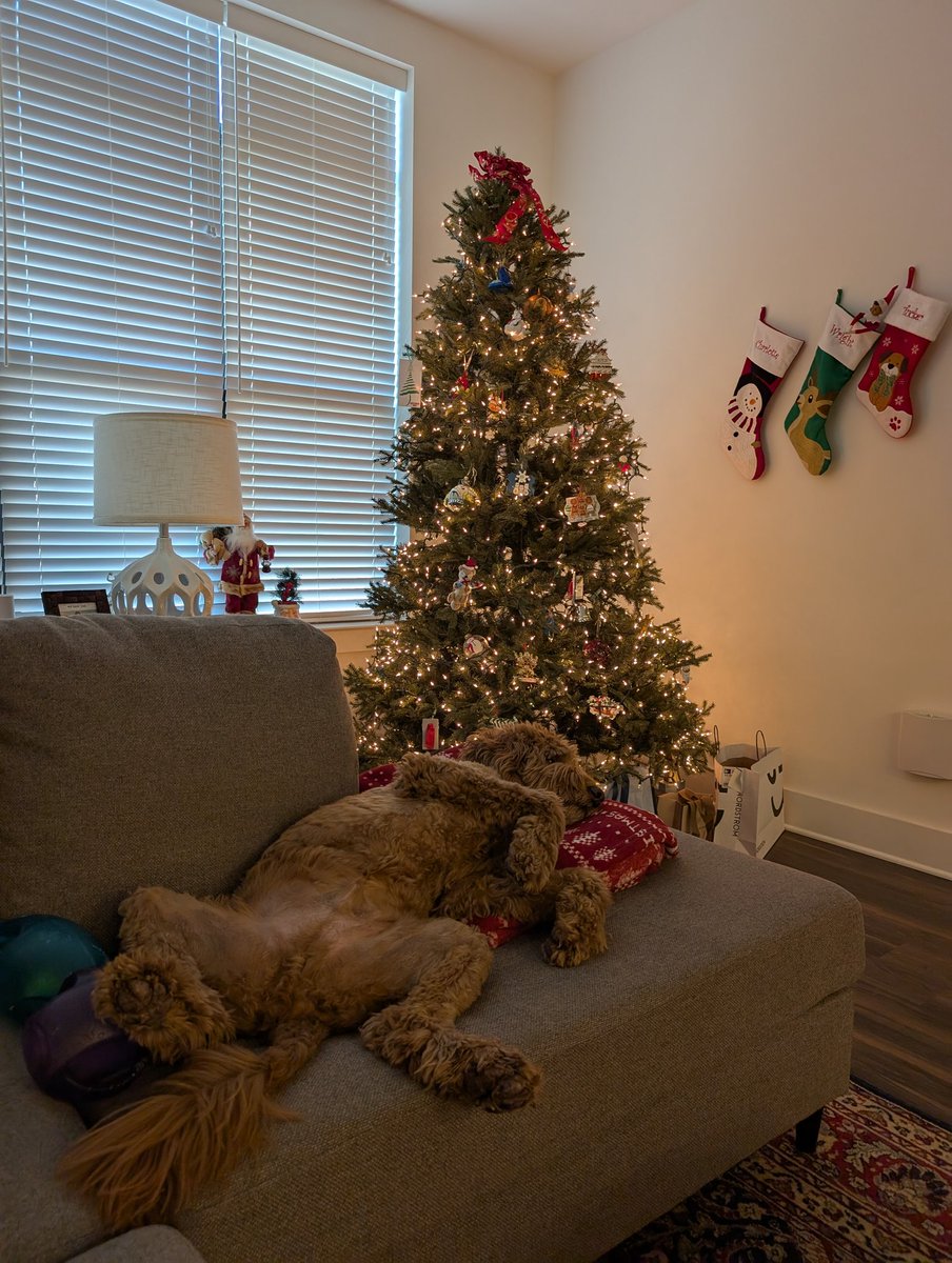 Tucker Waffles tweet media