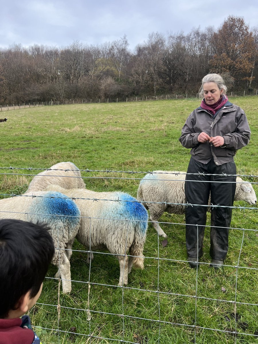 LilycroftSch's tweet image. Year 2 had a fantastic day at Meanwood Valley Farm, where they learned about arable and pastoral farming 🌾🚜 We saw cows, sheep, goats and many more. 🐑🐄🦙We even got to feed the animals! Such a fun and educational trip! 🌟 #FarmVisit #LearningOutsideTheClassroom