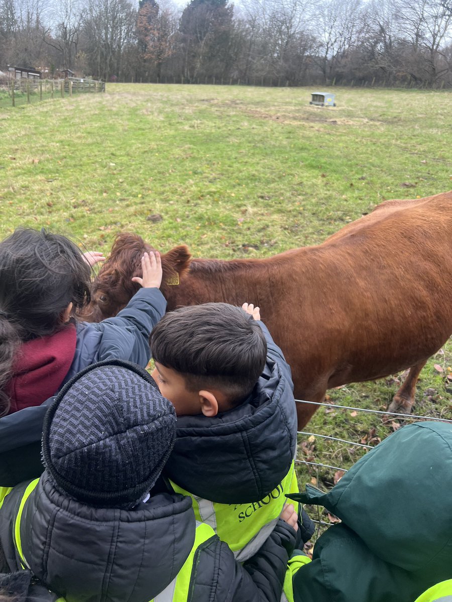 LilycroftSch's tweet image. Year 2 had a fantastic day at Meanwood Valley Farm, where they learned about arable and pastoral farming 🌾🚜 We saw cows, sheep, goats and many more. 🐑🐄🦙We even got to feed the animals! Such a fun and educational trip! 🌟 #FarmVisit #LearningOutsideTheClassroom