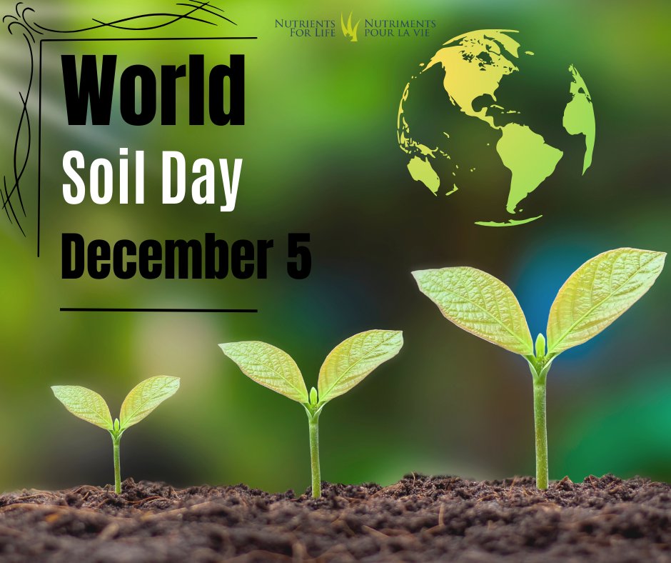 Nutrients for Life tweet media