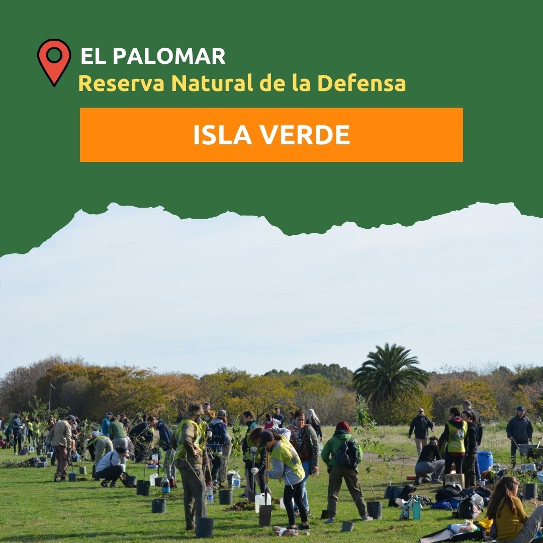 TierraNativaOrg's tweet photo. La creciente urbanización no planificada está reduciendo los espacios verdes en el Área Metropolitana de Buenos Aires (AMBA), pero ¿qué sucede cuando las comunidades toman la iniciativa para proteger su entorno? https://t.co/x59Cmtn6zy
