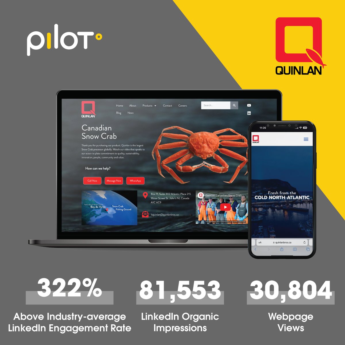 Pilot° tweet media