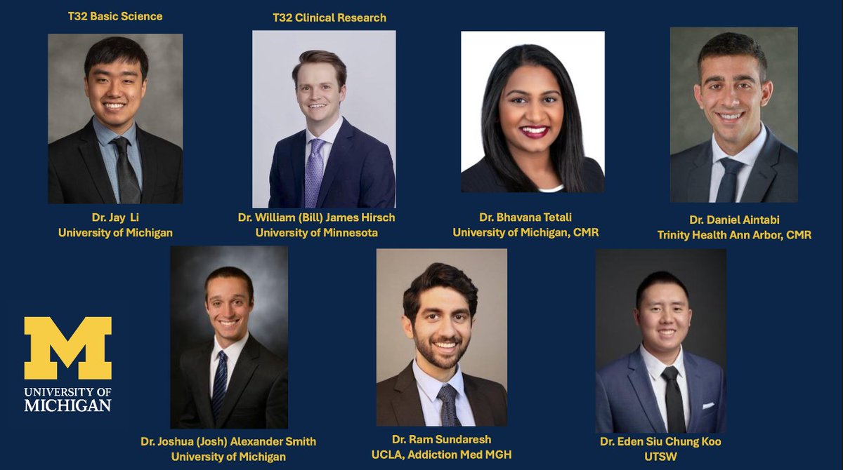 UMichGIHep-Fellowship tweet media