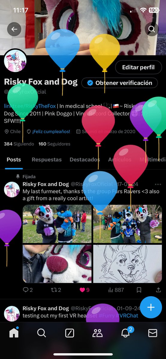 Risky Fox and Dog (@RiskyFoxOficial) / Posts / X