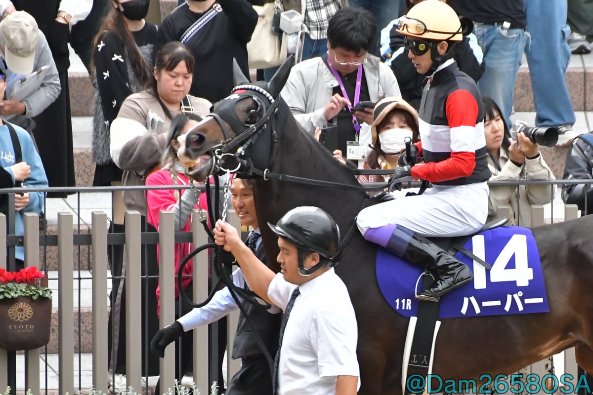 Dam2658OSA's tweet image. レガレイラさん…
絶対に勝ちなさいよ……!!!

2024.11.10. 京都11R #エリザベス女王杯
#ハーパー x #武豊 騎手
#京都競馬場