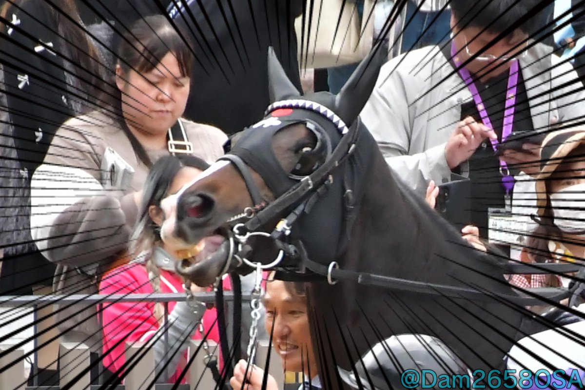 Dam2658OSA's tweet image. レガレイラさん…
絶対に勝ちなさいよ……!!!

2024.11.10. 京都11R #エリザベス女王杯
#ハーパー x #武豊 騎手
#京都競馬場