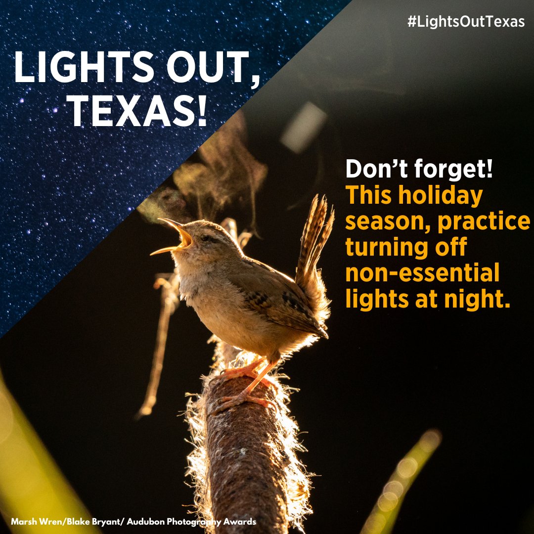 Let’s protect birds year-round!  Lights attract birds into urban areas where they are at increased risk of colliding with buildings, but you can help change that! Use night sky friendly lighting and make windows visible during the day, every day. Go to bit.ly/Lights_Out_Tex…