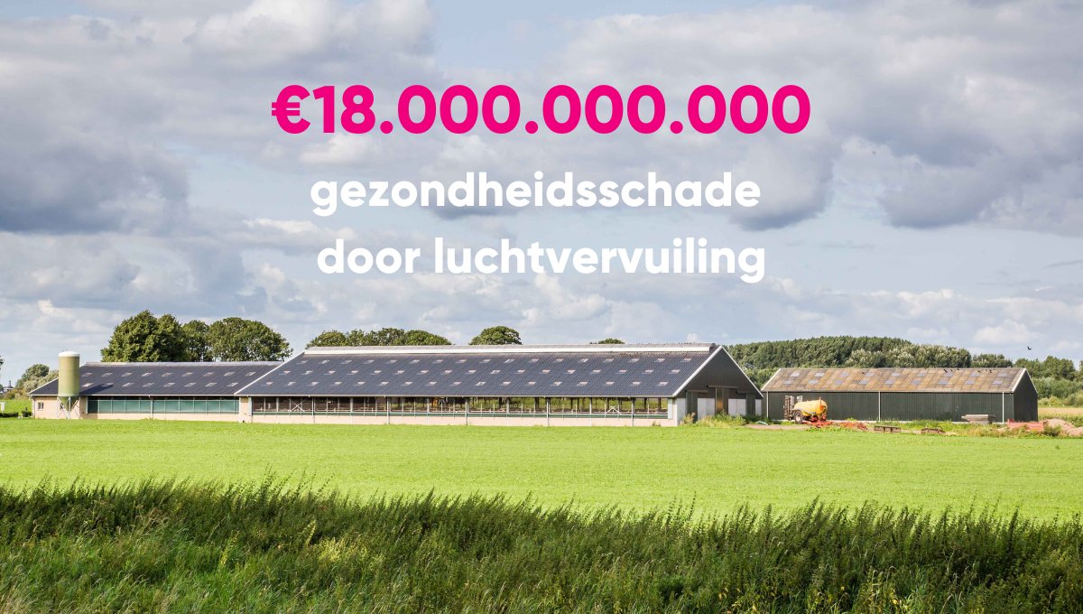 Luchtvervuiling kost ons land 18 miljard aan #gezondheidsschade. Landbouw, verkeer en industrie zijn de grootste boosdoeners, blijkt uit onderzoek van Pointer. Tijd voor ambitieus #luchtkwaliteitsbeleid. 
Lees meer: tinyurl.com/3j2mav5s 
#gezondheidskosten #luchtvervuiling