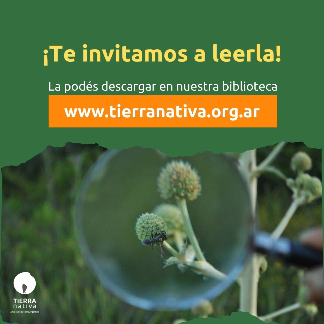 TierraNativaOrg's tweet photo. 📝Nos introduce a reconocer a las comunidades organizadas, que mediante su acción colectiva, han dado lugar a la creación de reservas urbanas como Santa Catalina, Isla Verde, y lo que fuera reconocido por sanción de Ley de interés Provincial Paisaje Protegido Camino de las Flores https://t.co/VlmggcKiMy