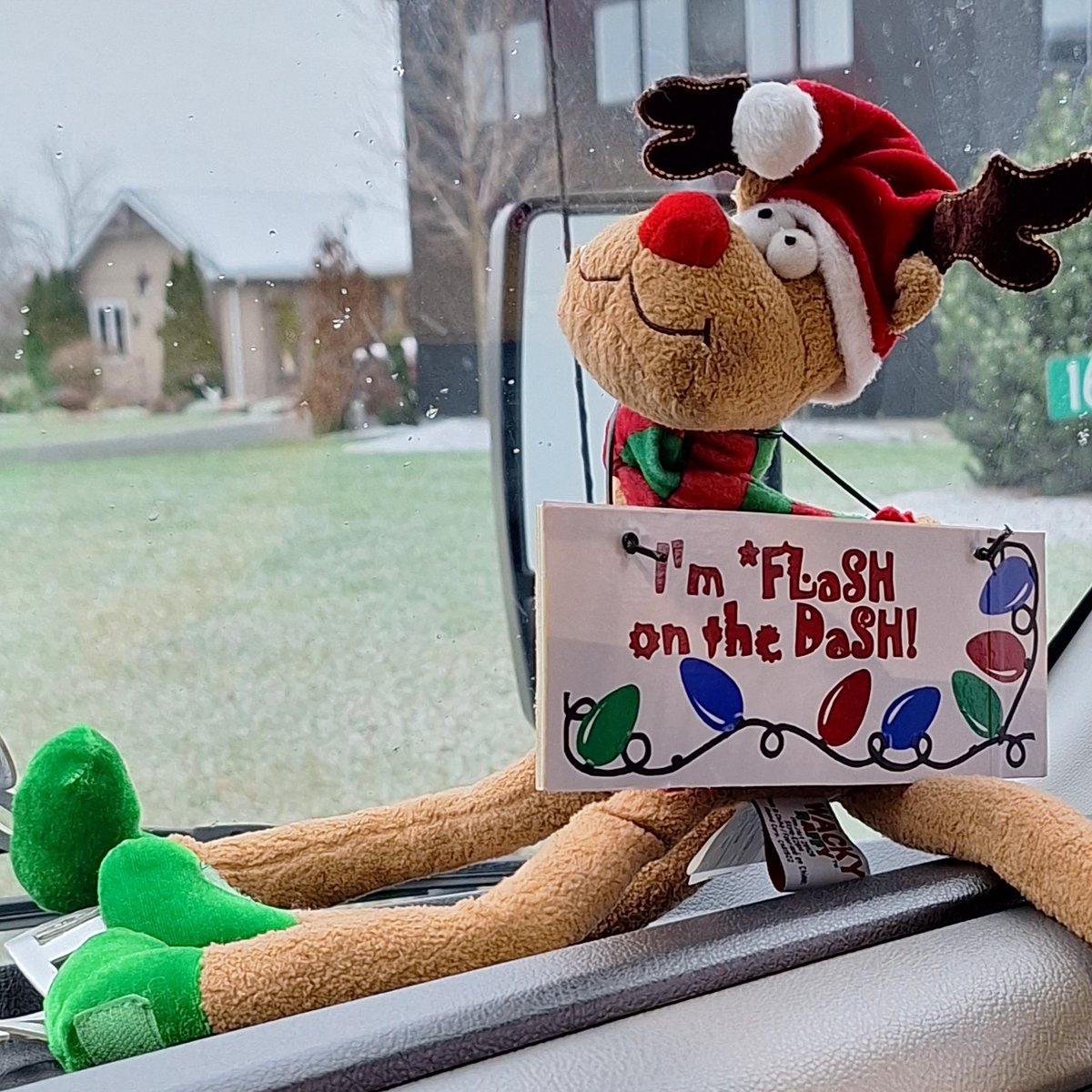 You've heard of Elf on a Shelf... but have you heard of Flash on the Dash?! Students have been having fun trying to find Dash the Reindeer's new spot on the bus each morning 🦌🎅
#theACdifference #independentschool #dayschool #bellevilleontario