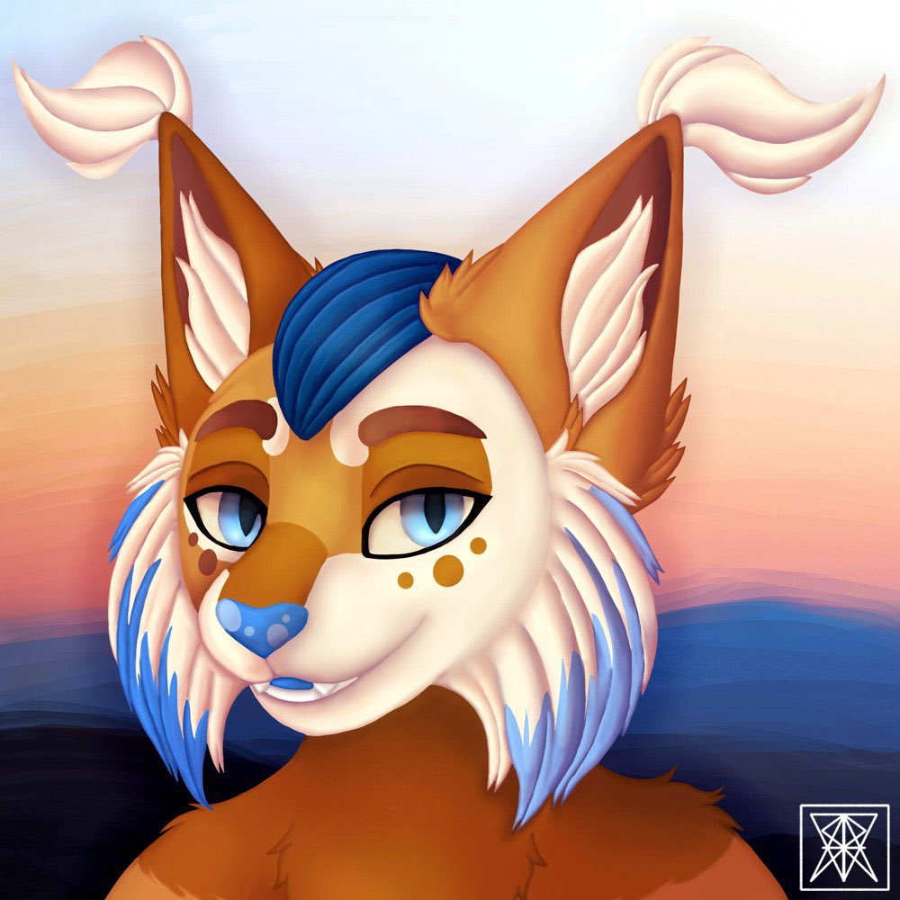 Nera Suncloud tweet media