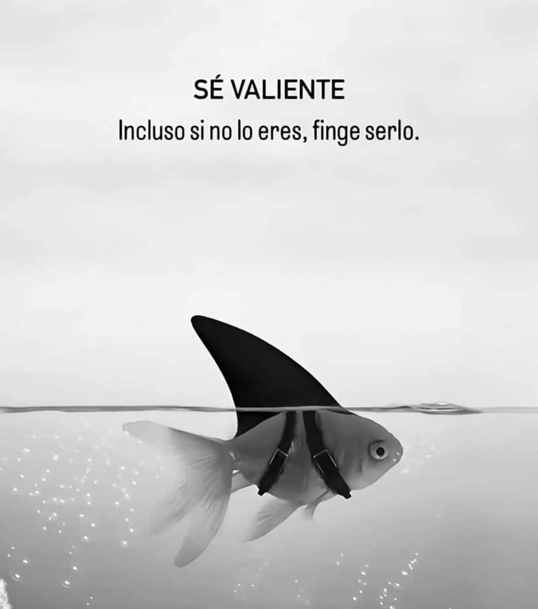 EspacioNoticias's tweet photo. https://t.co/7tHWUJ8yfY