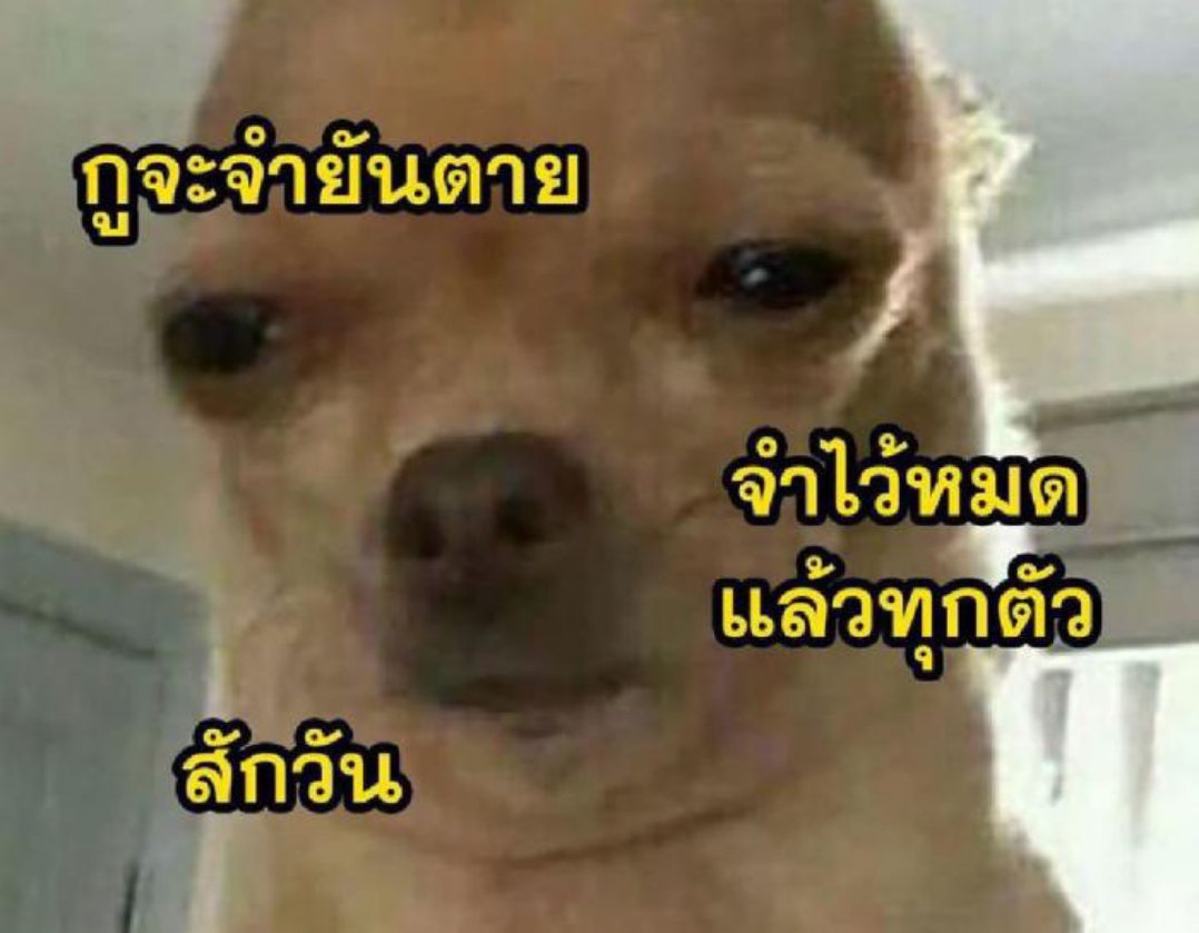 RureadyPopo's tweet photo. ถ้าผลไม่ออกมาว่า #เลื่อนสอบทั่วประเทศ นี่คือ Dek68 : https://t.co/cjZLGLizC9