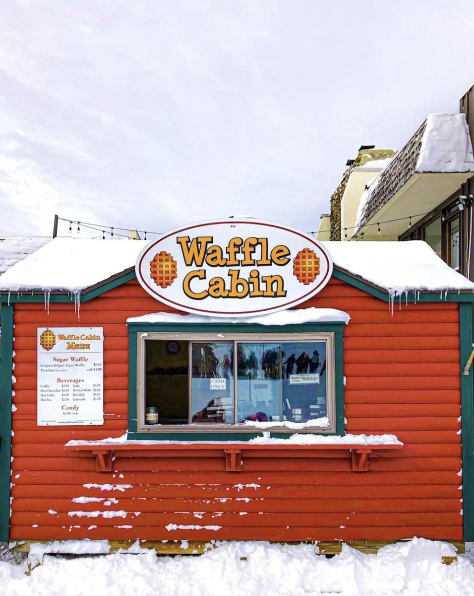 AccidentallyWesAnderson tweet media