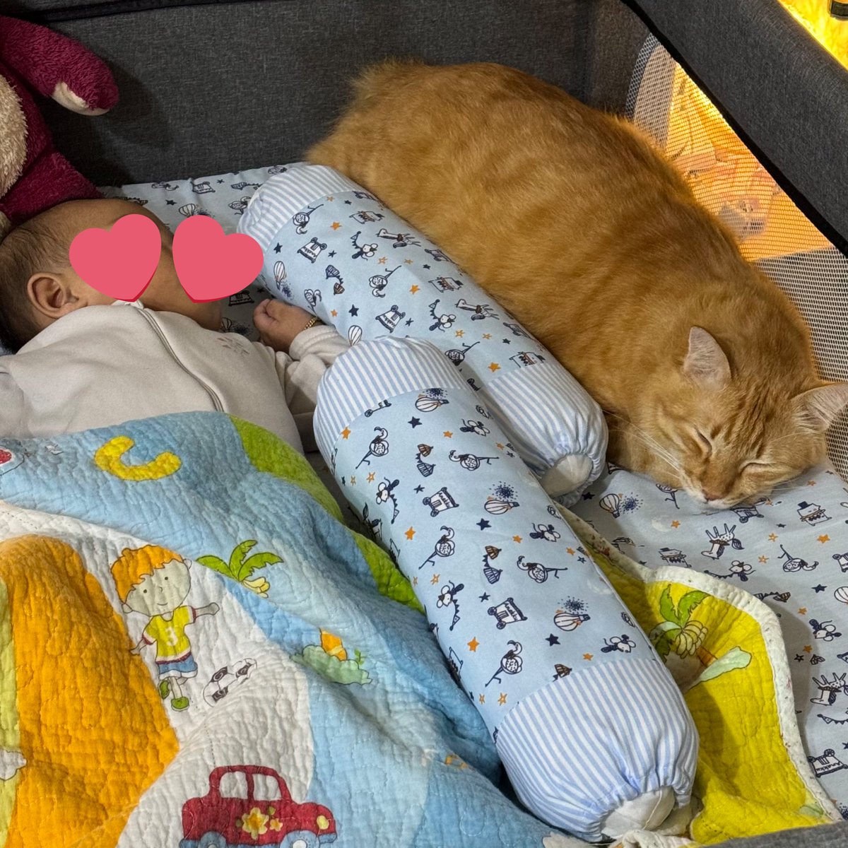 iA1iaaa's tweet photo. Sebagai seorang mak ini adalah view yang paling I suka. Bulan dah belajar kongsi baby cot ‘dia’ dengan adik baby 🥰 https://t.co/5wGbEwQNsp