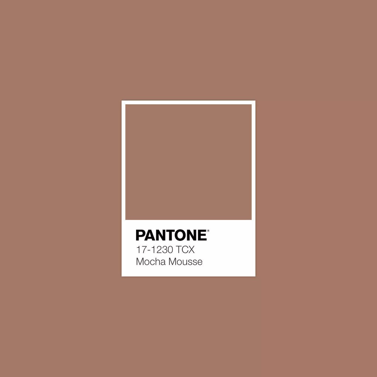 yasseralhadii's tweet photo. Pantone 2025 Color of the Year is an Understated and Harmonious Hue
لون العام 2025 من بانتون هو لون بسيط ومتناغم 
Mocha Mousse! موس موكا 
 #pantone #Color_2025 #لون_2025 https://t.co/9z3SeDfav2