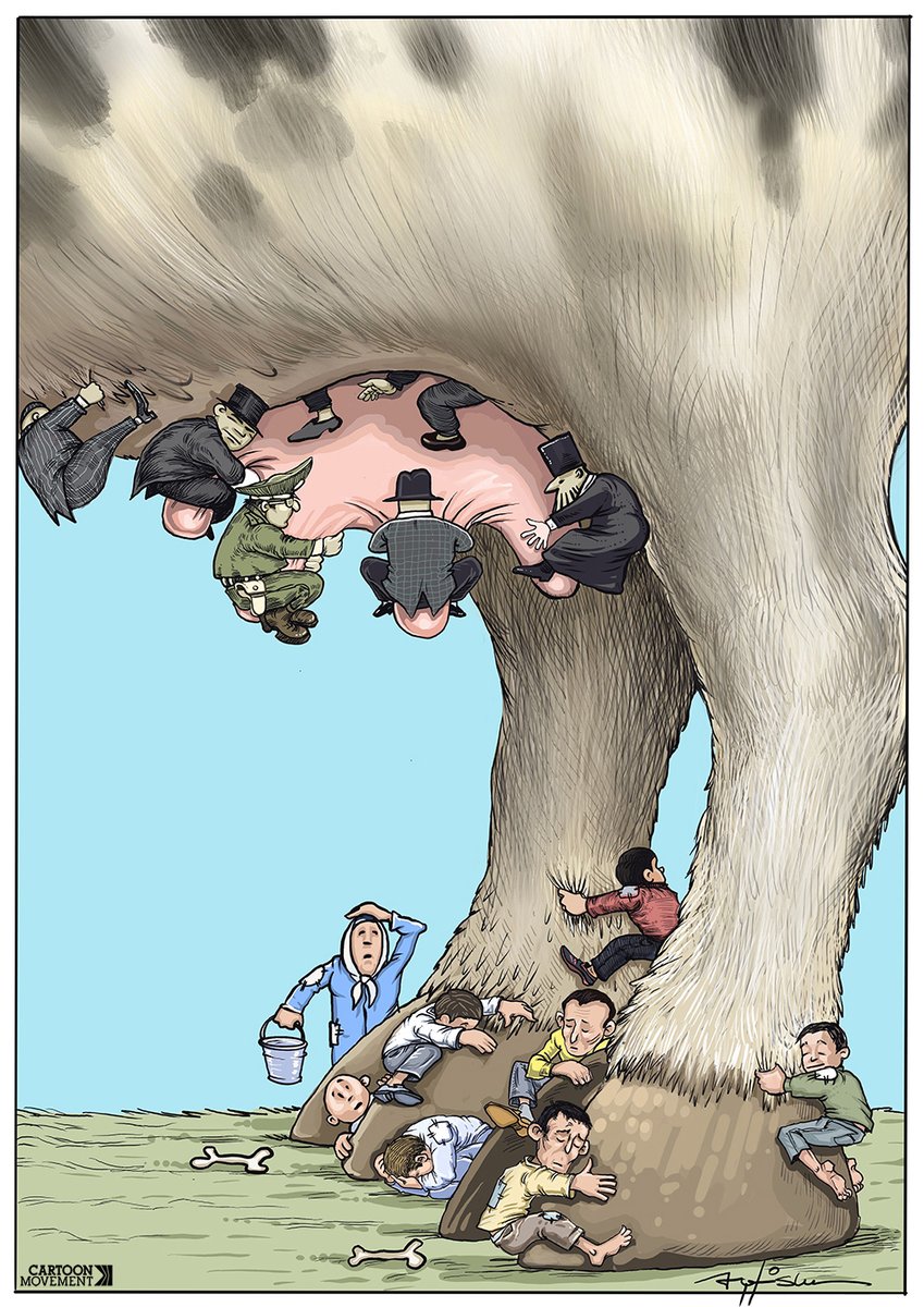 Royaards's tweet photo. If you're into political cartoons, not just mine, consider following @cartoonmovement. And subscribe to the daily newsletter for a cartoon in your mailbox each day: https://t.co/Q0q1JDTumP

Cartoons by Allan Mcdonald, @halitaetos, @RowellToons and @zehraomerovna https://t.co/tMGGRfFe5A