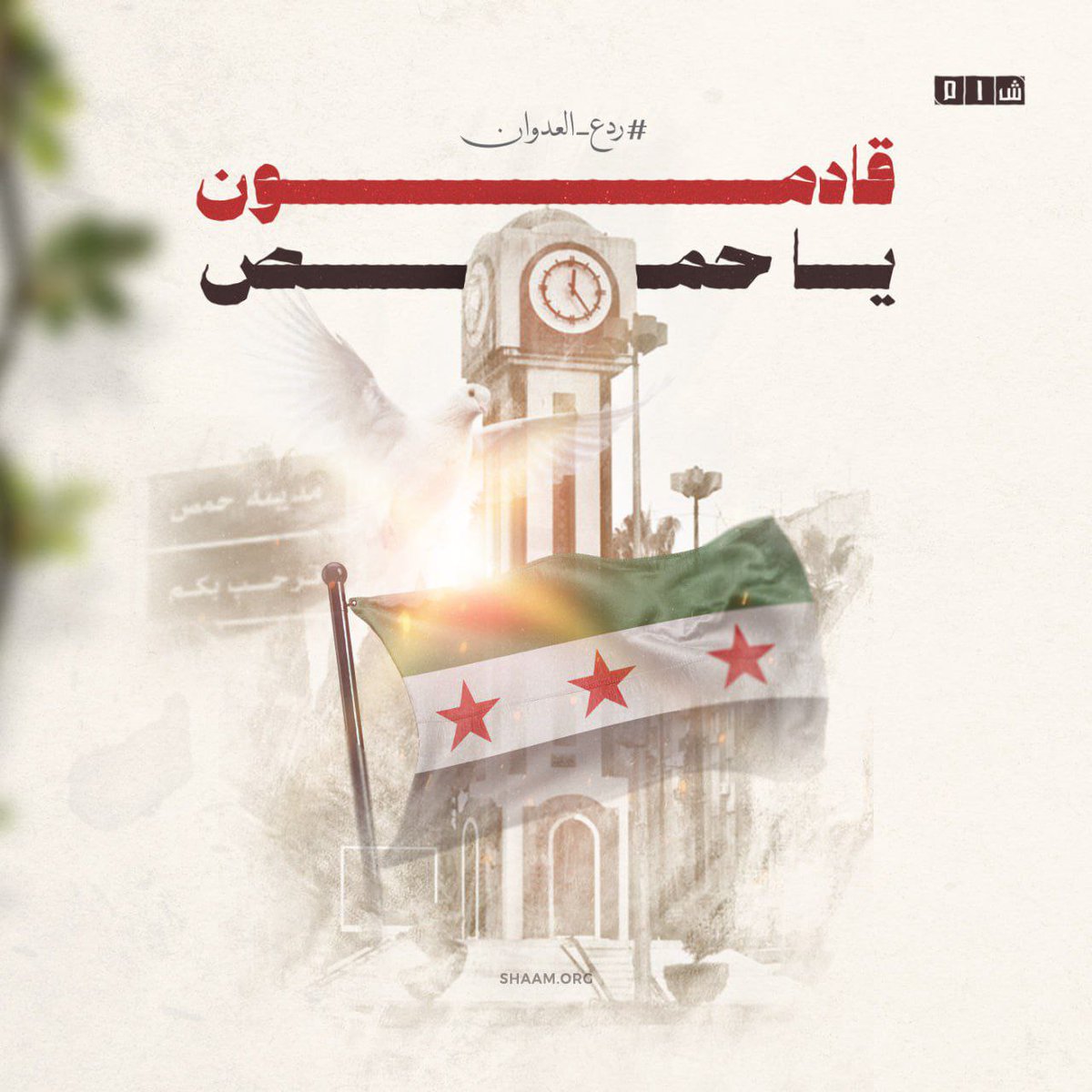 بسم الله وعلى بركة الله ..
النصر القريب يارب 💚✌️