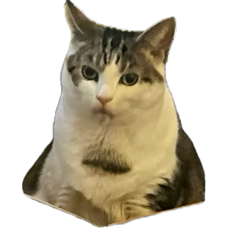 The Good Ship Shugster tweet media