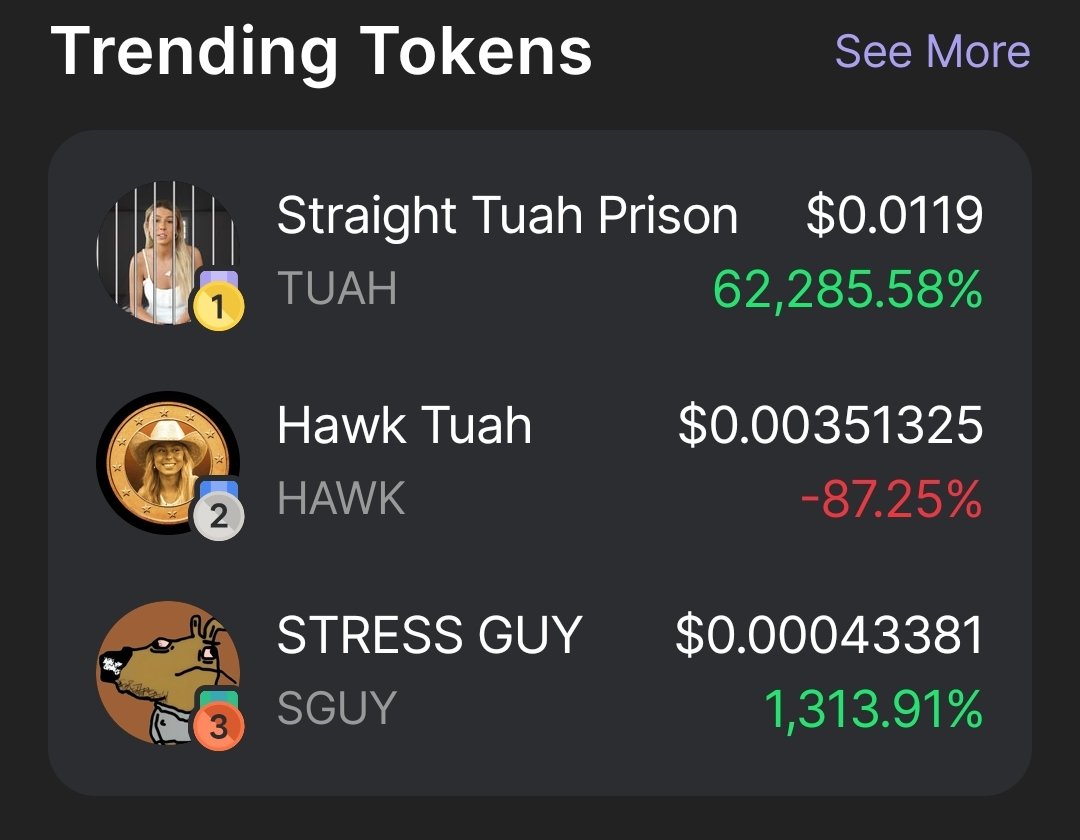 After Hawk Tuah $HAWK
Haliey Welch Straigh Tuah Prison

😂 I AM NOT ENDORSING THIS TOKEN. I just think it is funny but $ELONIA is funnier