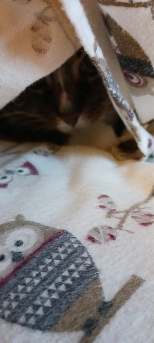 #thursdayvibes are warm &amp; cozy inside ❤️ and very cold outside ❄️🥶