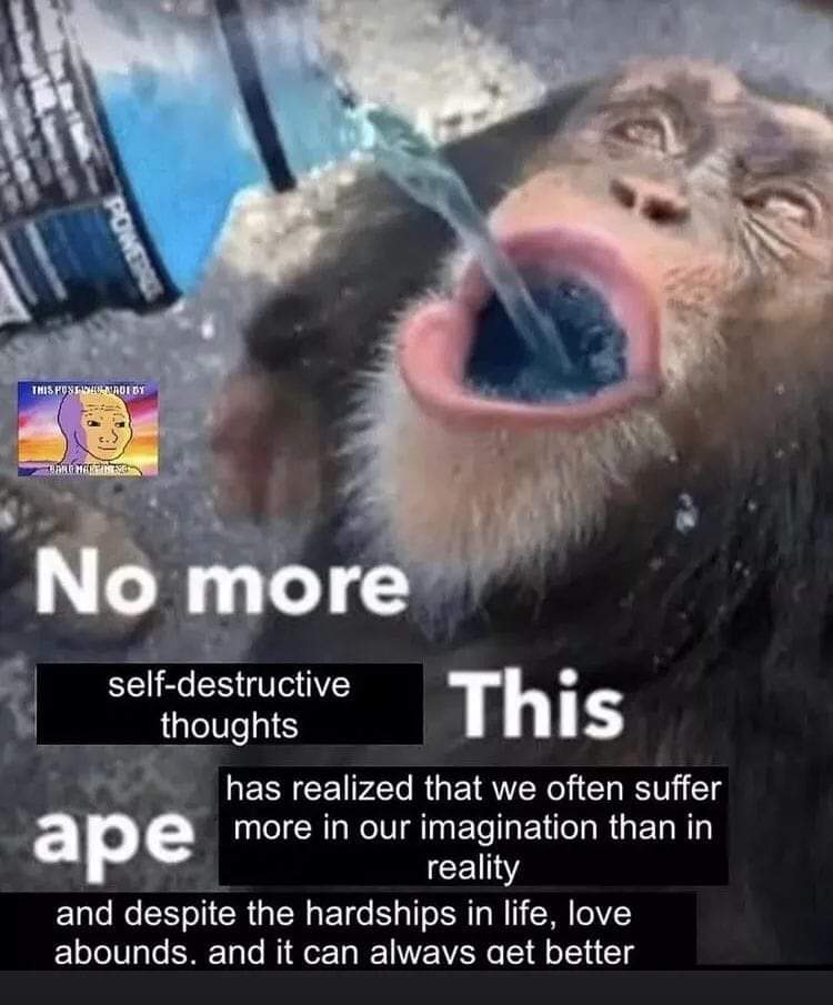 Respectful Memes (@respectfulmemes) on Twitter photo 