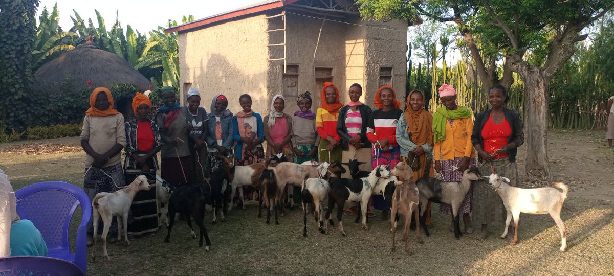for_esd's tweet photo. 🌍 Empowering Women #ESD ✨
we’re excited to share the latest milestone—our in-kind support event! 🎉
101 women in Jara Kerara and Doyo Otilcho kebeles are receiving crucial support to enhance their livelihoods. The initiative provided: 101 prolific goats 🐐, ✨
#EmpoweringWomen https://t.co/gZ9lcUZOay