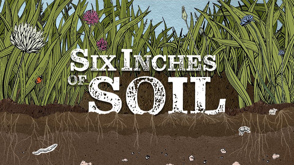 Earth Trust (@earth_trust) on Twitter photo ๐ฆSix Inches of Soil
Join us for a special screening of this powerful British film on soil and the future of farming, plus producer Q&A.
Date: Tues 10 Dec
Time: 6.30-8.30pm
Place: Earth Trust Centre, OX14 4QZ
Tickets: ยฃ4-ยฃ8
earthtrust.org.uk/events/sixinchโฆ
#WorldSoilDay <a href="/sixinchessoil/">Six Inches of Soil</a> ๐ฆSix Inches of Soil
Join us for a special screening of this powerful British film on soil and the future of farming, plus producer Q&A.
Date: Tues 10 Dec
Time: 6.30-8.30pm
Place: Earth Trust Centre, OX14 4QZ
Tickets: ยฃ4-ยฃ8
earthtrust.org.uk/events/sixinchโฆ
#WorldSoilDay <a href="/sixinchessoil/">Six Inches of Soil</a>