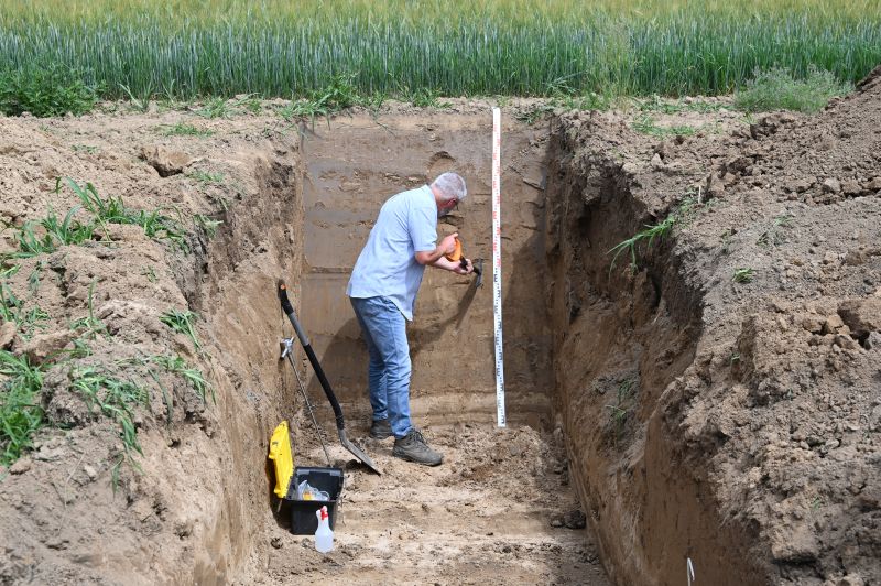 🌍 Dziś obchodzimy Światowy Dzień Gleby! 
🌱 Tegoroczne hasło to 
"Troska o gleby: badaj, monitoruj, zarządzaj". Dbajmy o nasz fundament życia! 🪱💚
#WorldSoilDay #DzieńGleby #SoilHealth #gleba #gleby
<a href="/EJPSOIL/">EJP SOIL</a> <a href="/prepsoil/">PREPSOIL</a> <a href="/NBSOILProject/">NBSOIL🇪🇺</a>