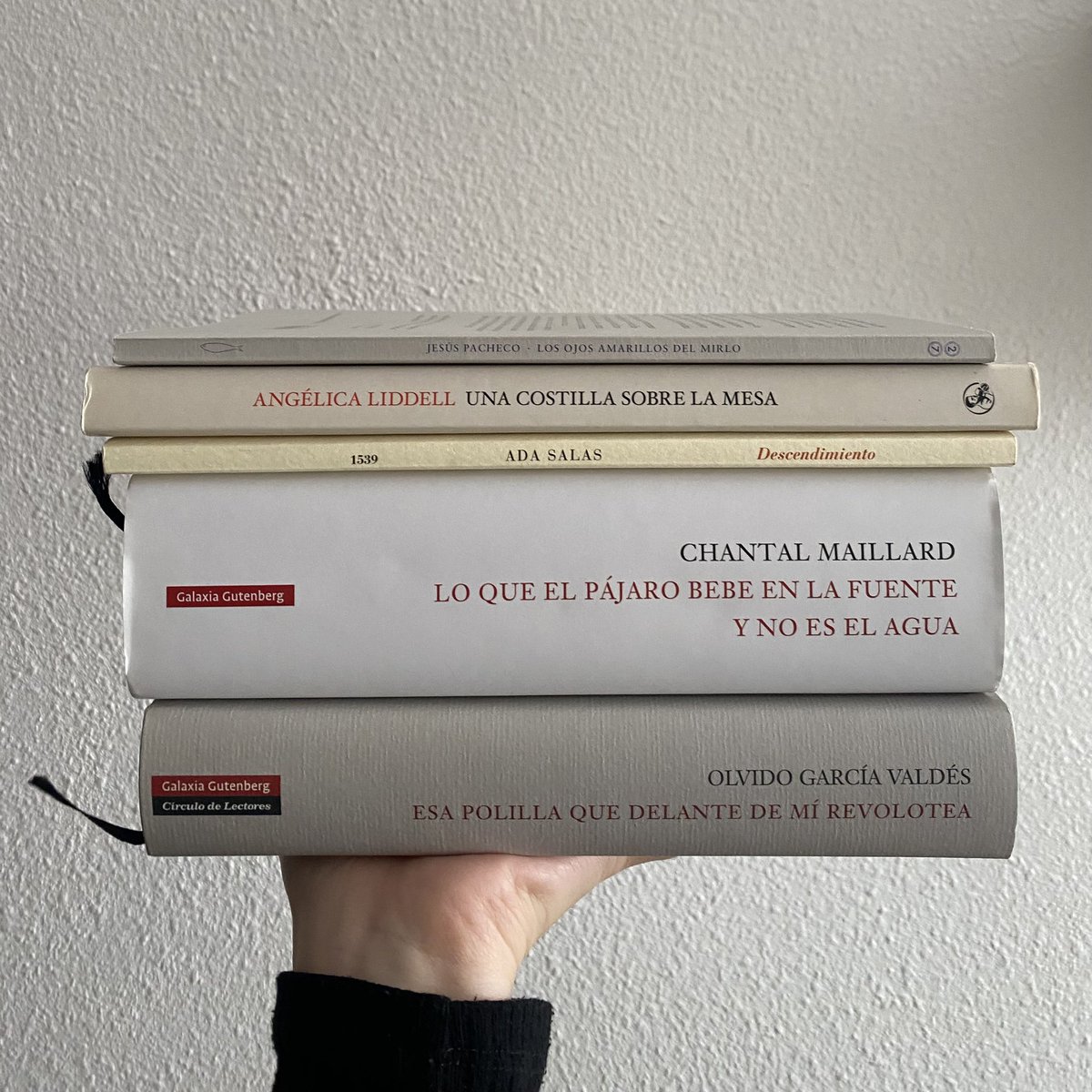 Hoy es la penúltima sesión del taller de Alcalá. Empiezo a estar melancólica porque no quiero que se acabe, pero, a la vez, mirad qué sesión tan chula tendremos: