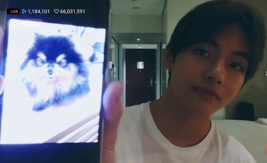 ก็ว่าทำใจได้แล้วนะ แต่เอาเข้าจริงๆ ก็ไม่ไหวเลย😭 แทรักหนูมากนะ เจ้าก้อนขน 🥲