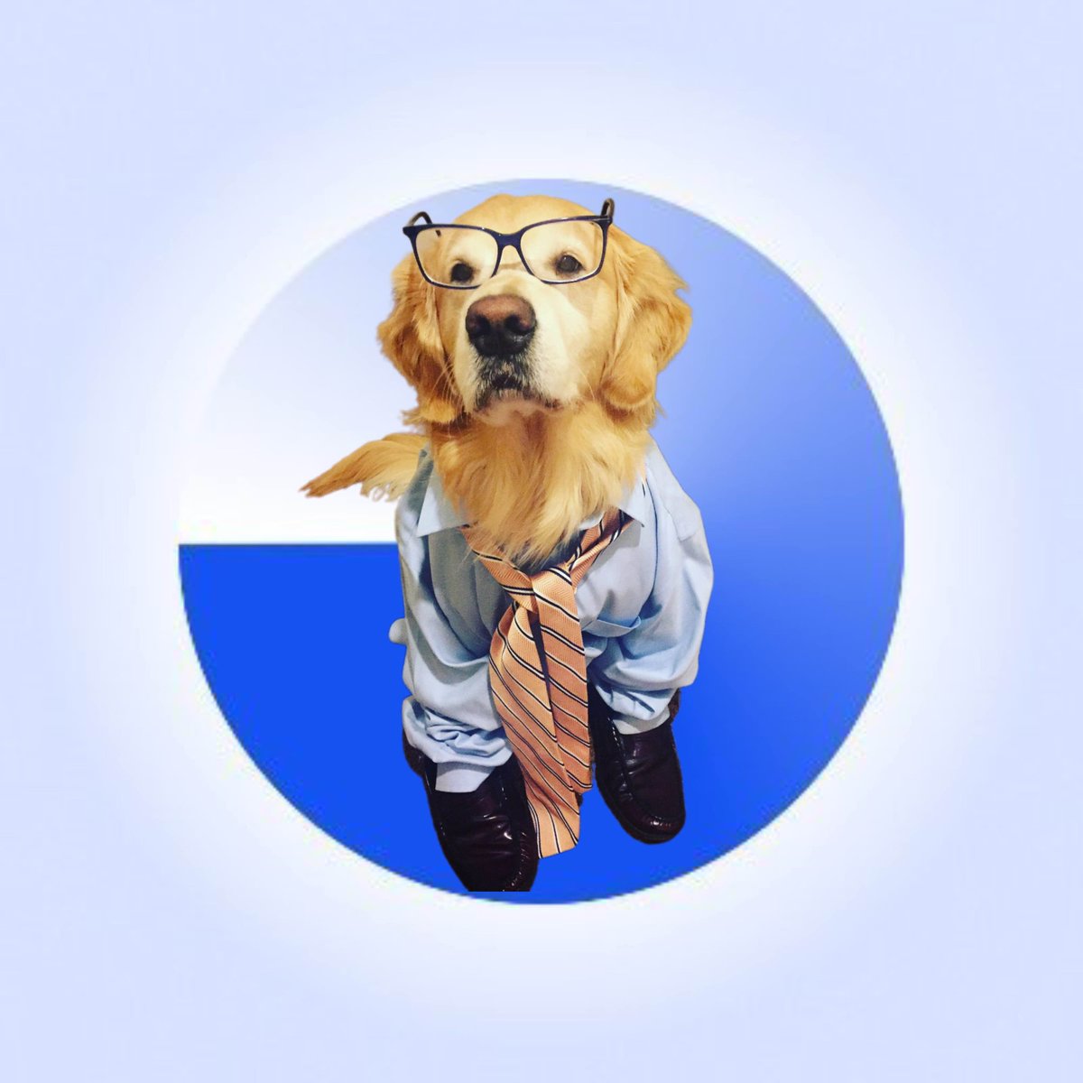 gm <a href="/base/">Base</a> &amp; our favorite onchain degen <a href="/jessepollak/">jesse.base.eth</a> 
🎉happy $BTC all time high day 🎉
Now back to the grind!