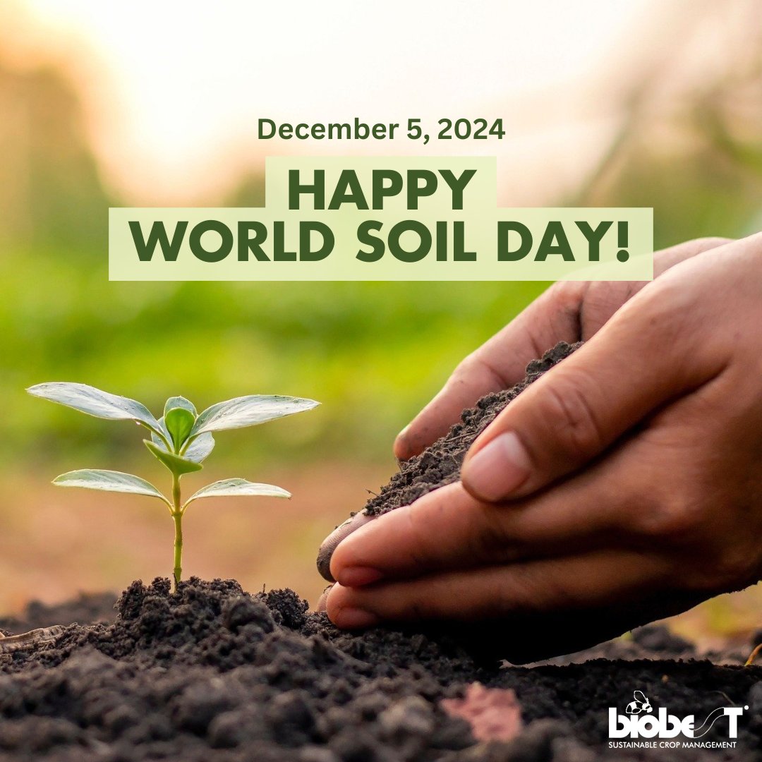 Healthy soils are key to life and sustainable farming. This year’s theme, “𝐂𝐚𝐫𝐢𝐧𝐠 𝐟𝐨𝐫 𝐒𝐨𝐢𝐥𝐬: 𝐌𝐞𝐚𝐬𝐮𝐫𝐞, 𝐌𝐨𝐧𝐢𝐭𝐨𝐫, 𝐌𝐚𝐧𝐚𝐠𝐞,” highlights the need for better soil data. Ready to build a sustainable future? Let’s work together! 🌱 #WorldSoilDay #Biobest