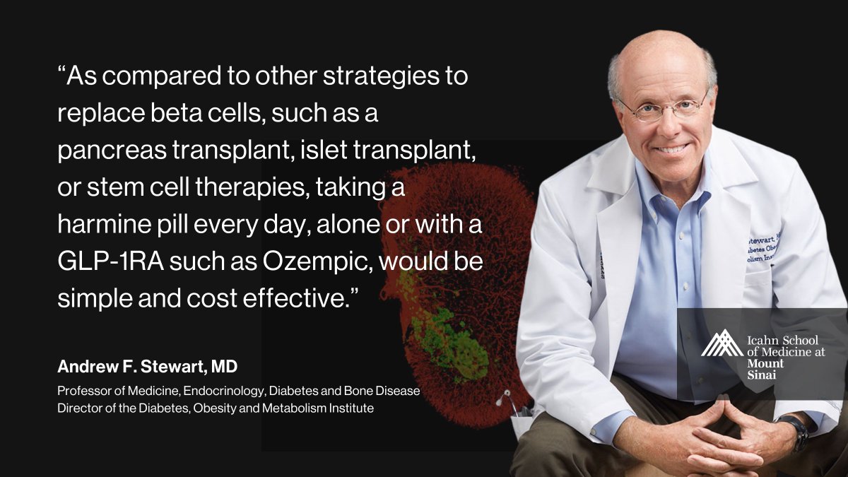 Researchers at Mount Sinai have shown that a combination of two drugs—harmine and a glucagon-like peptide 1 receptor agonist (GLP-1RA)—can enhance the regeneration of insulin-producing pancreatic beta cells in people with #diabetes, a promising advancement toward a new treatment.