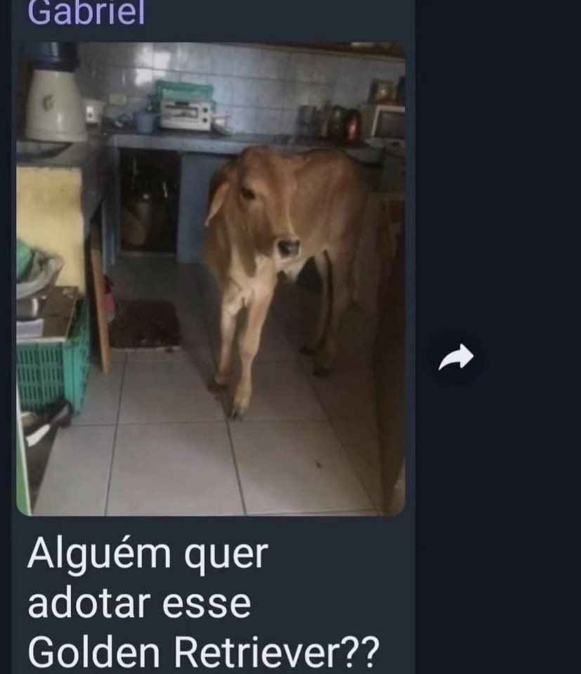 PuroSucoDoBr's tweet photo. https://t.co/agPJ2Rsh7a