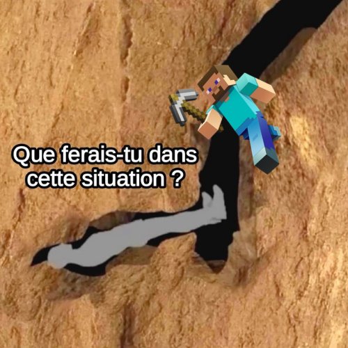 Theorix_gaming's tweet photo. @LeContempIateur Je garde mon calme et j'appelle Steve https://t.co/kV3FLB4cnf
