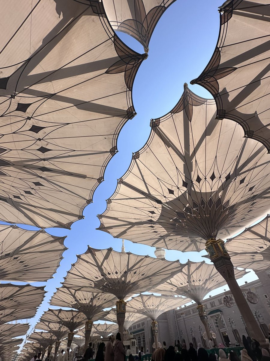 Shu (@mdm_shu) on Twitter photo 