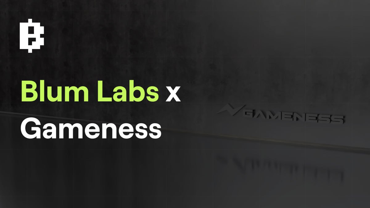 blumcrypto's tweet photo. Blum Labs is thrilled to welcome @Gamenessapp as our newest partner! Esports 🤝 Blockchain

Gameness, a super-app built to help brands lower acquisition costs &amp; boost retention is joining Labs' family as the 18th accelerated project. Wow 🔽 https://t.co/mKkLpgK4by
