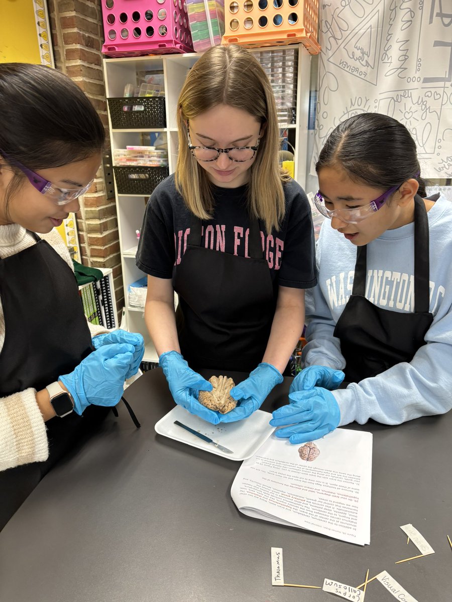 Mrs. Hawk PLTW KJH tweet media