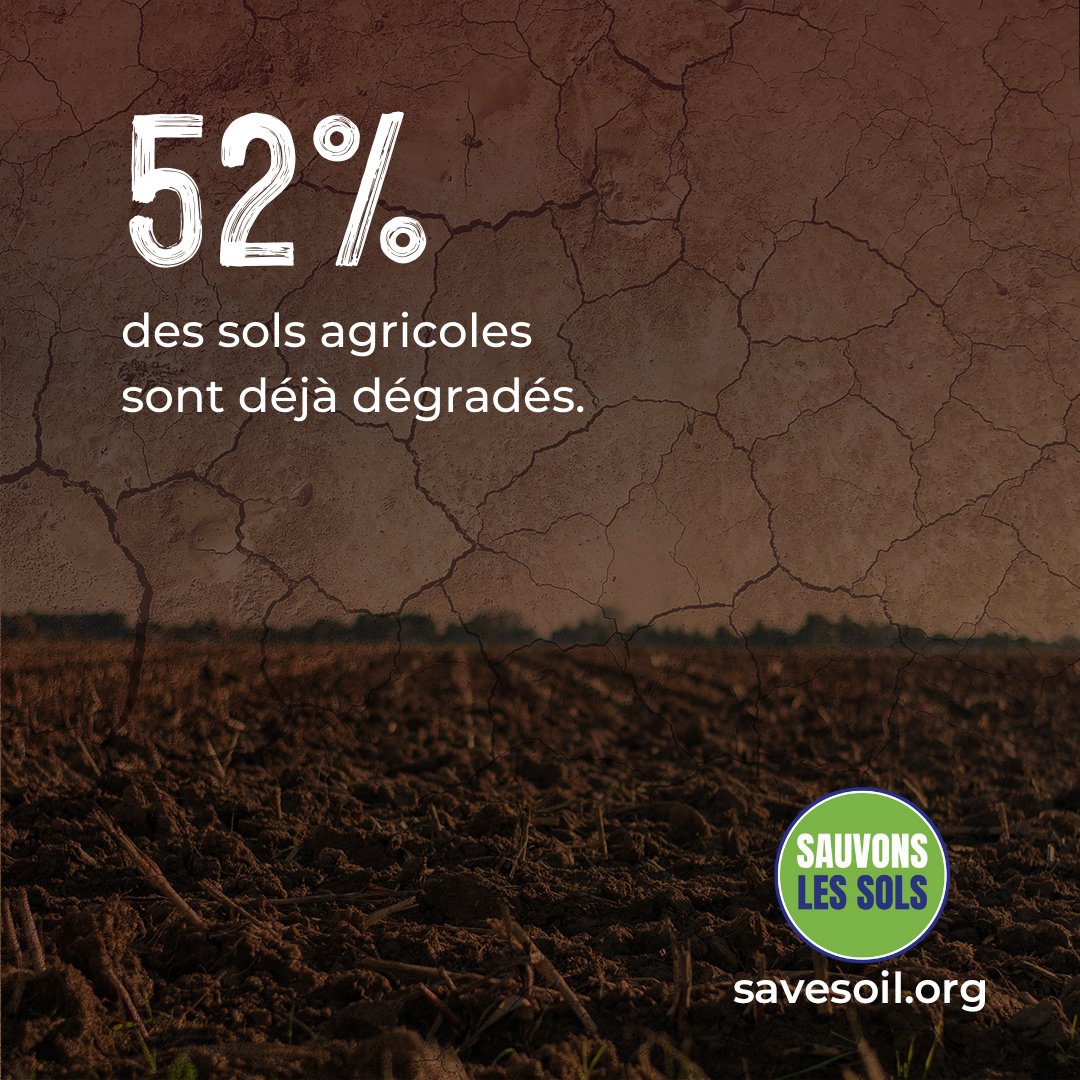 DeLangeAgnes's tweet photo. 52% des sols agricoles sont déjà dégradés. 
Prenons d'abord soin des sols, les solutions suivront quant aux changements climatiques, gestion de l'eau, érosion... 

#SoilFirst 

https://t.co/Z4mHRIGPQv https://t.co/Kj9zeFazEa