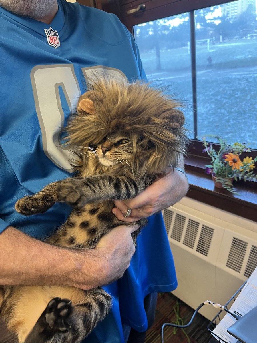 Our school cat Ralph Bob has his game face on for tonight's game against the Packers! <a href="/Lions/">Detroit Lions</a> @RalphBunchePrep #OnePride