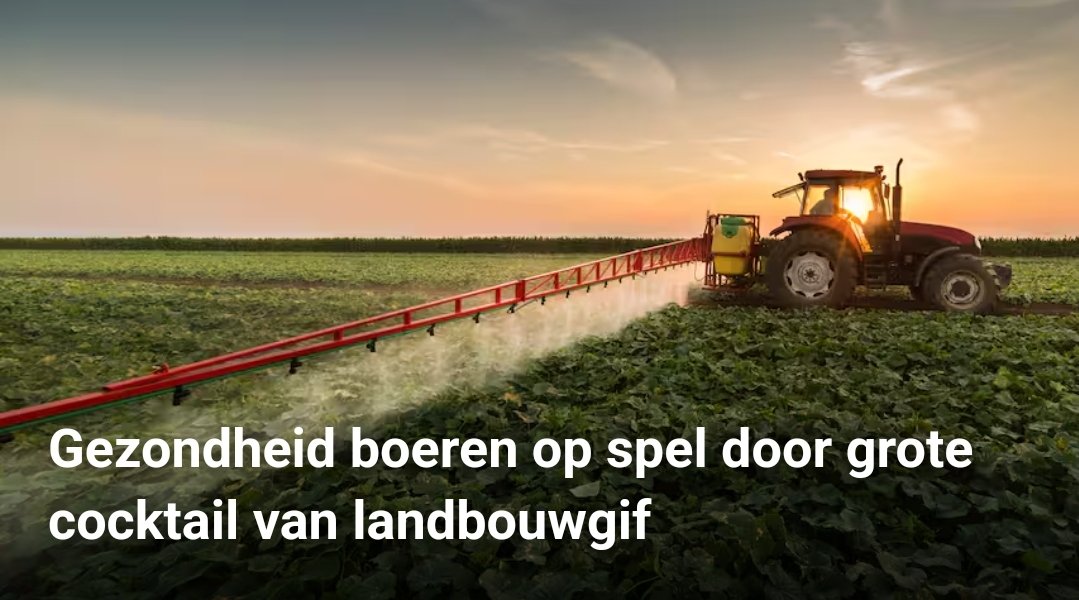 ottomanius's tweet photo. @Beach_Roy33 @Saltpeanuts7 Bovendien....
Die #kutboeren maken meer kapot dan drank kan goedmaken
#Glyfosaat
Geen insecten
Geen bodemleven
Parkinson
#Fungiciden
Resistente schimmels
Aspergillus fumigatus
#methaangas
Global Warming
#vogels
Grutto
(Er zijn ook goede #Bioboeren) https://t.co/Xl1lW7wMvG