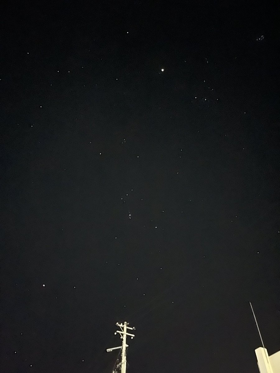 なんか上見たら綺麗だった