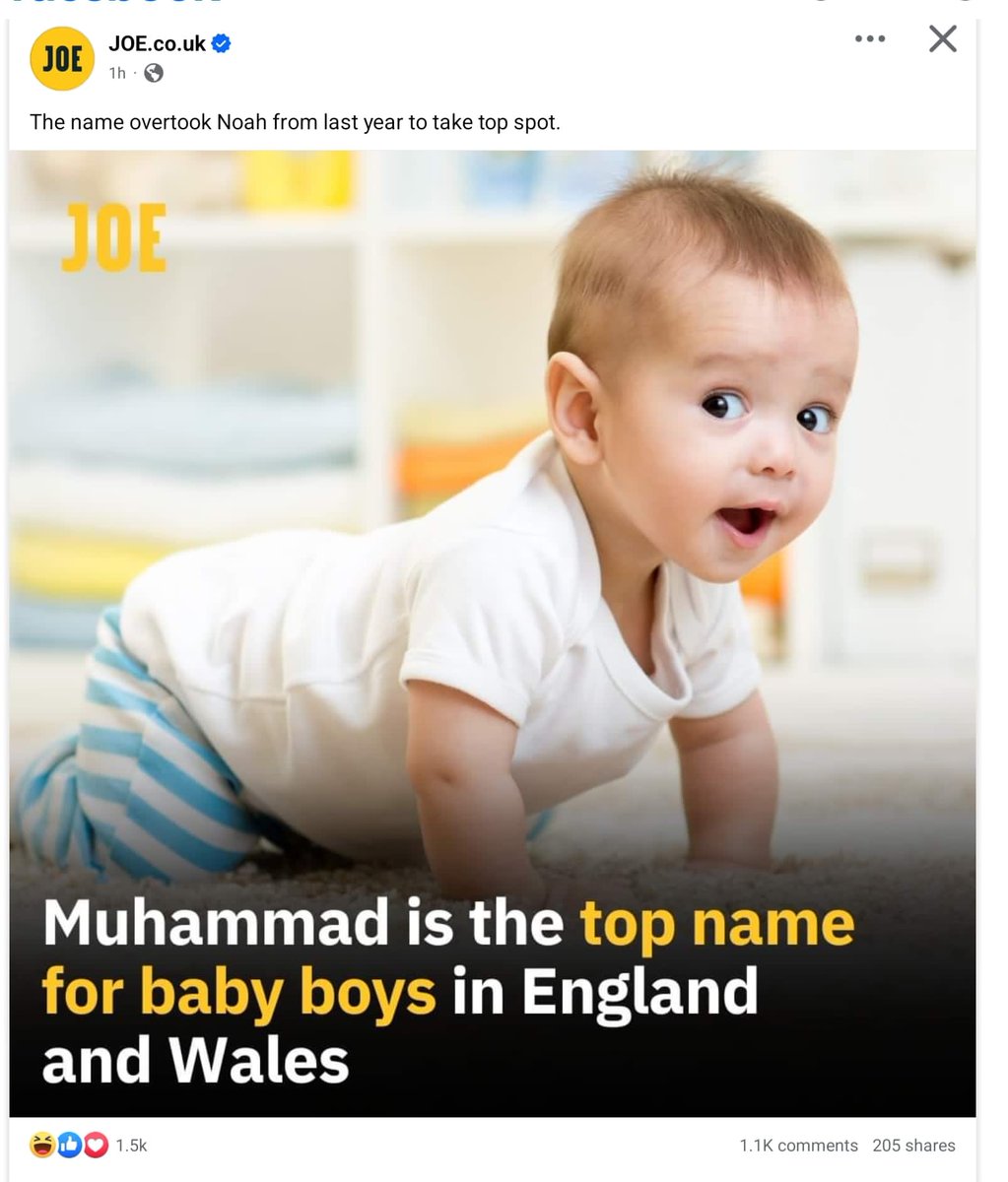 TheOracle_ball's tweet image. #populationreplacement is a #conspiracy though...