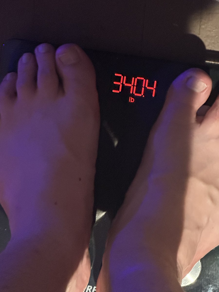 🐃🥩 tweet media