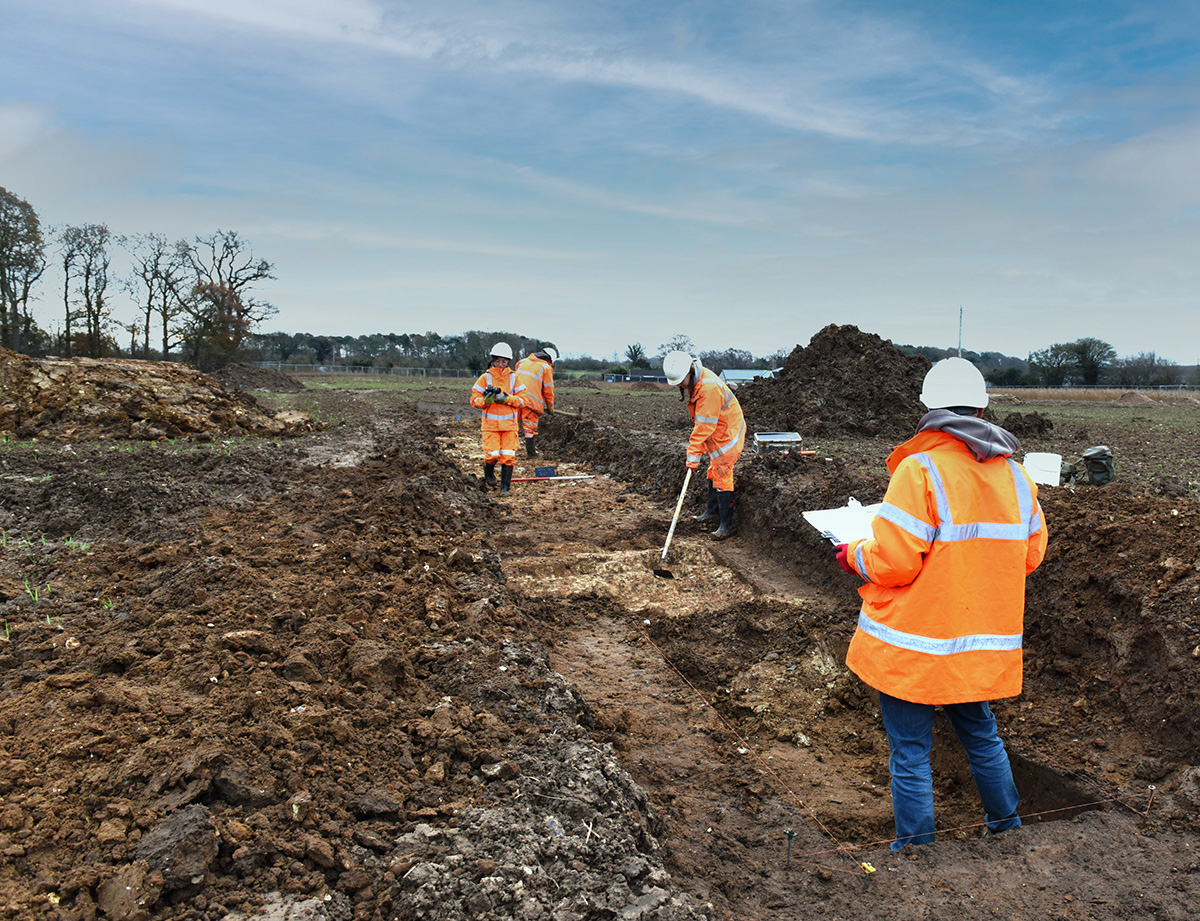 SayNo2SizewellC's tweet image. Clearly @UKLabour don't have the £40bn+ needed to build Sizewell C yet, despite the #biodiversity crisis,  Labour/EDF are destroying vast swathes of East Suffolk's wildlife-rich environment, much in the AONB/Heritage Coast This must stop
#SayNo2SizewellC 
bloomberg.com/news/articles/…